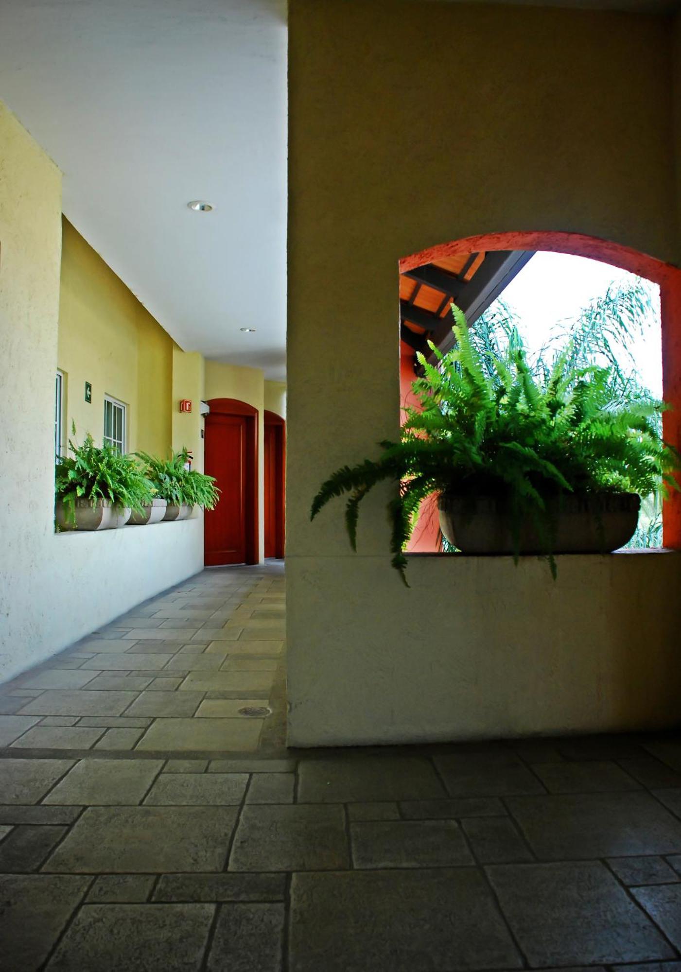 Aurea Hotel And Suites Zapopan Exteriör bild